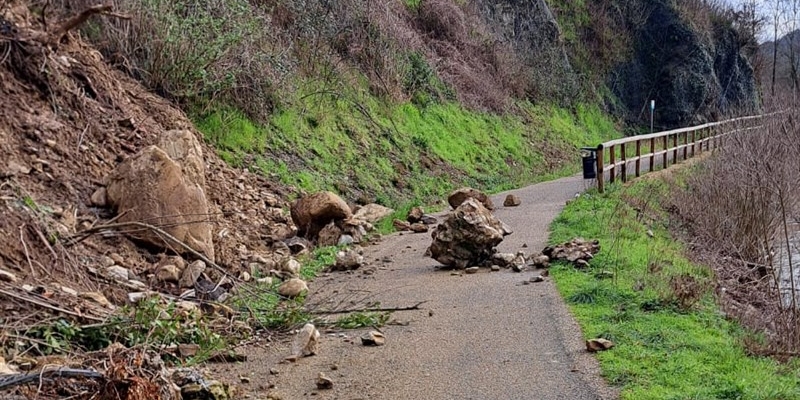 Immagine di repertorio