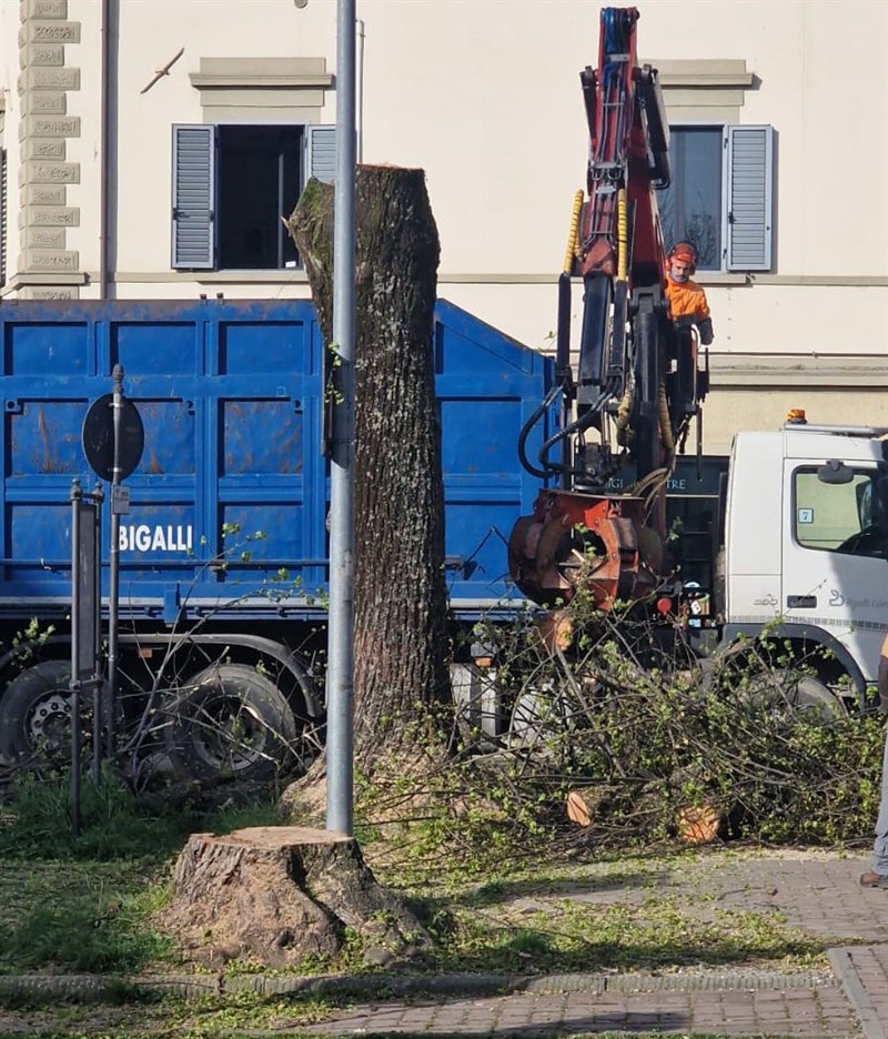 operazioni di taglio