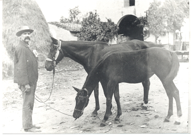 8f5471 foto 2 fiera calda