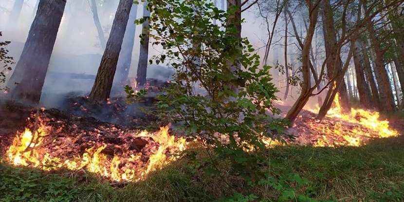 Rischio incendi boschivi.