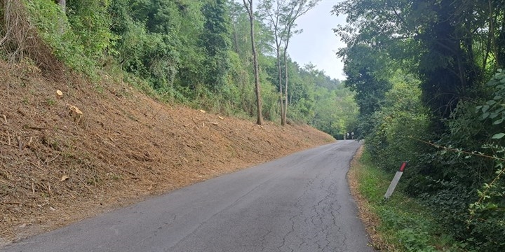 Via dei Bosconi, Monteloro, dettagli