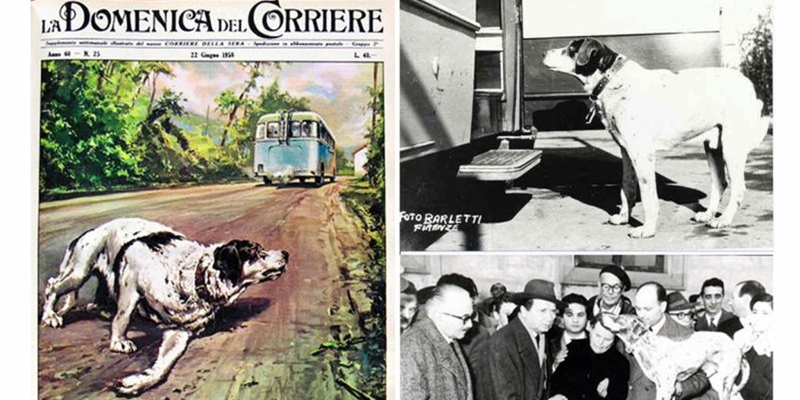Fido sulla ""Domenica del Corriere"",""A. Giovannini