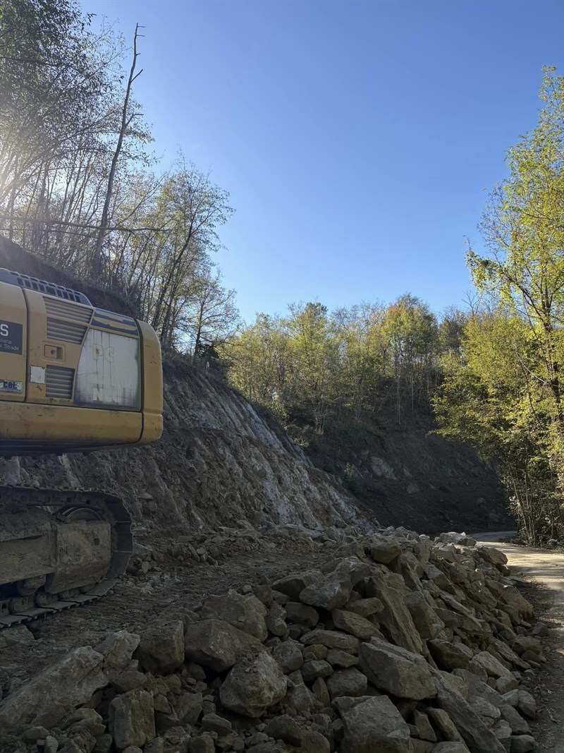 Devastazione ambientale per l'impianto eolico