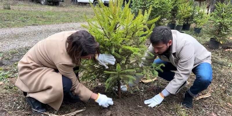 Piantumazione abete all’interno del Parco Nazionale delle Foreste Casentinesi