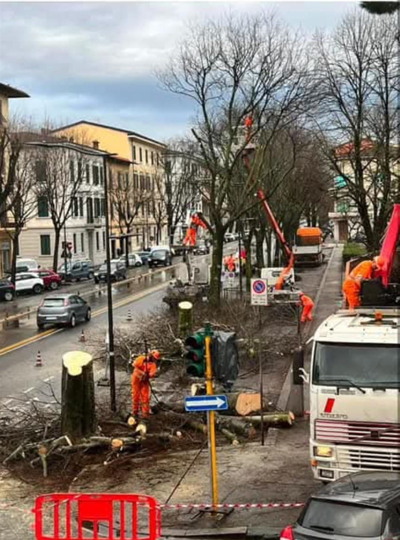 lo scempio in piazza Elia della Costa