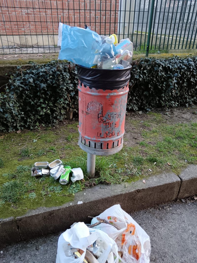 Il cestino in questione