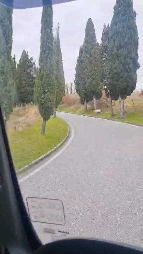 Un estratto del video