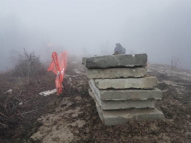 Alcune immagini raccolte dalla coalizione Tesss