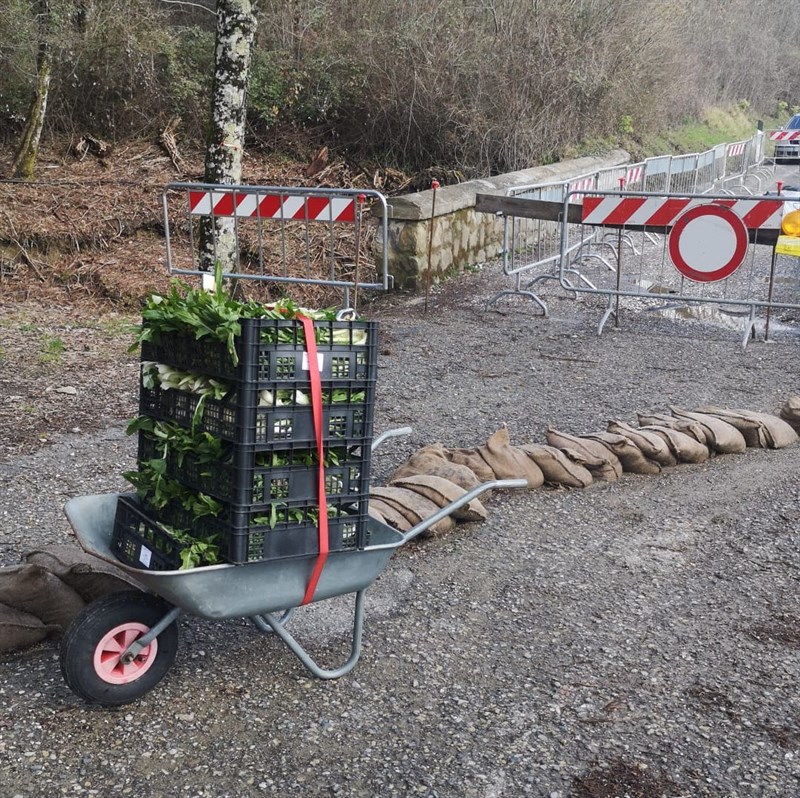 mangiare per animali oltre il ponte