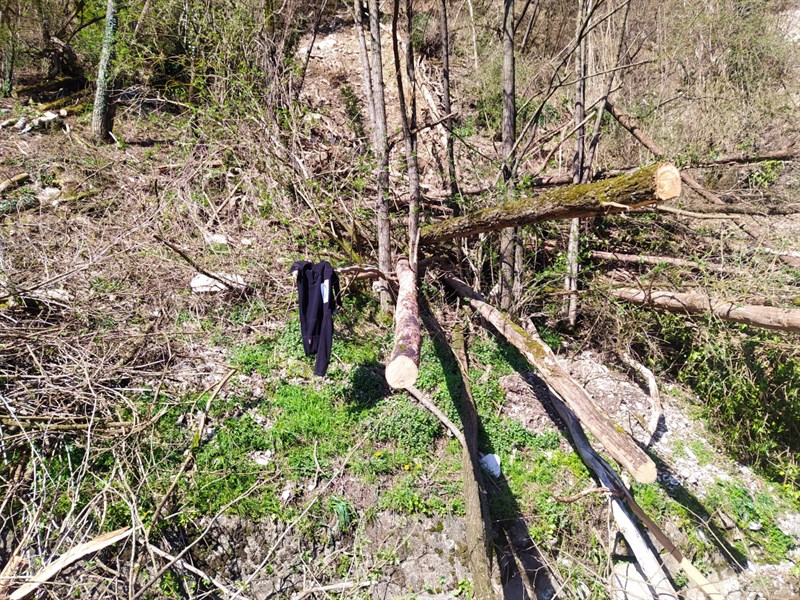 Maltempo, frana a Fontebuona. Residente: ""Strada ancora chiusa, un grande disagio"", la segnalazione di un lettore