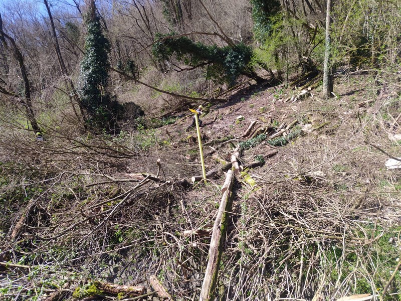 Maltempo, frana a Fontebuona. Residente: ""Strada ancora chiusa, un grande disagio"", la segnalazione di un lettore