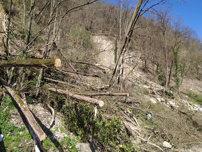 Maltempo, frana a Fontebuona. Residente: ""Strada ancora chiusa, un grande disagio"", la segnalazione di un lettore