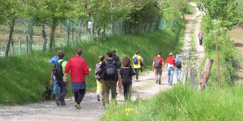 Magnalonga Vicchio - Immagine di repertorio