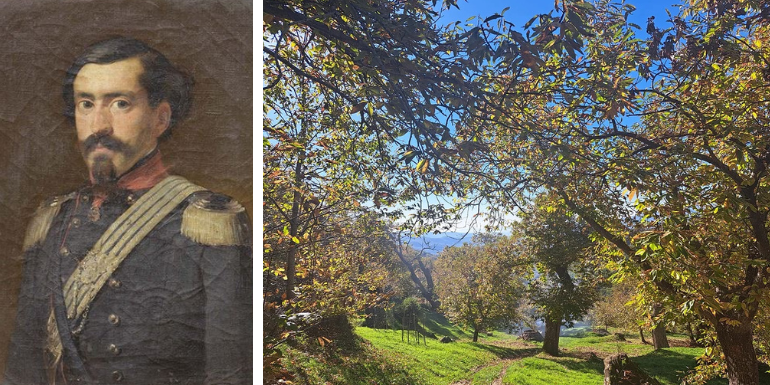 Biffi Tolomei e l'appennino