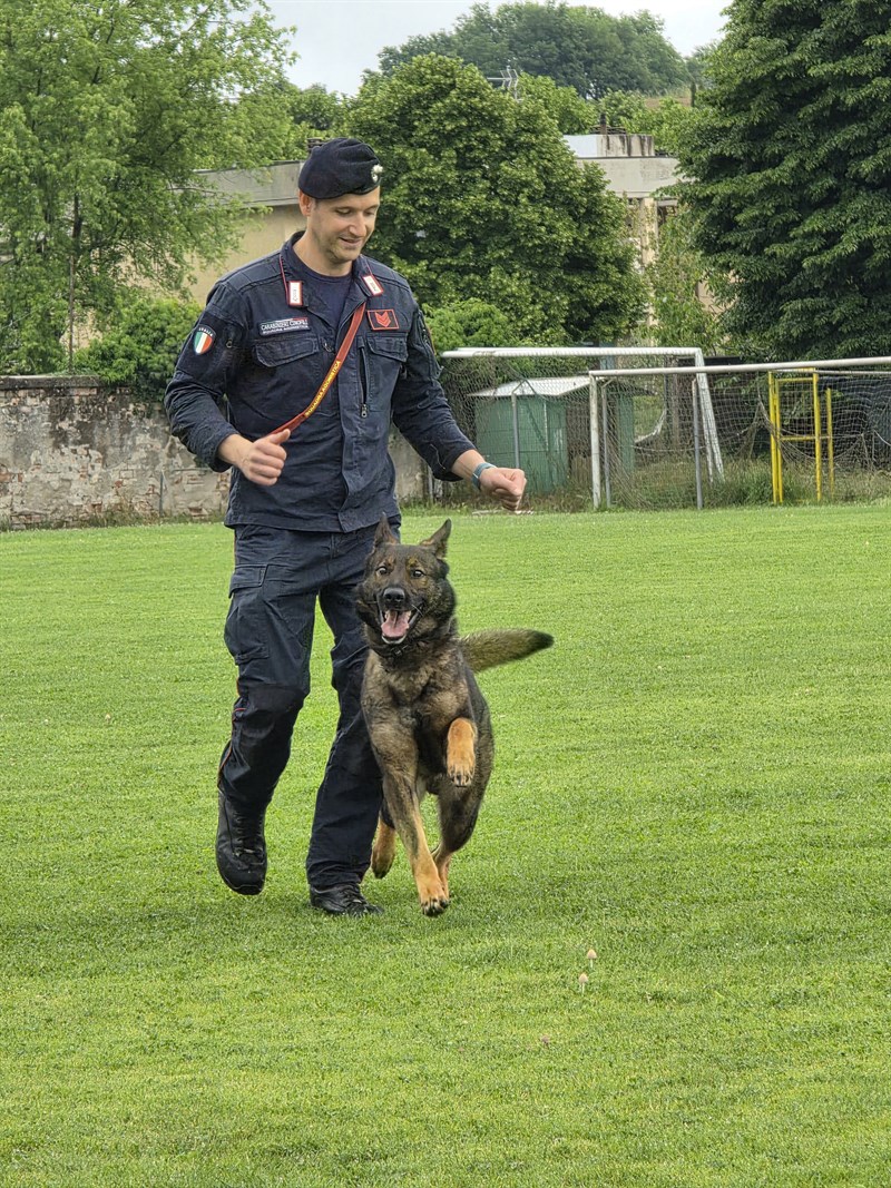 Unità Cinofile Carabinieri
