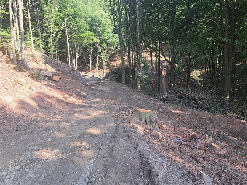 devastazione ambientale