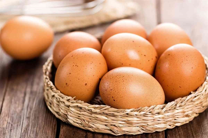 5307d4 uova 25072025 www okmugello it