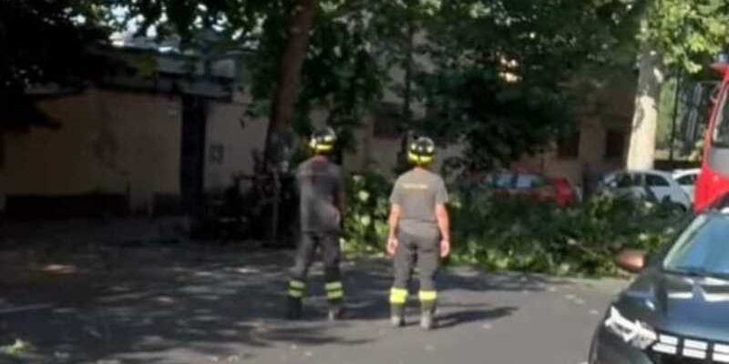 L'intervento dei Vigili del Fuoco