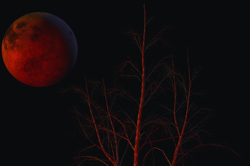 3a3f0f luna di sangue 22082025 okmugello it copia