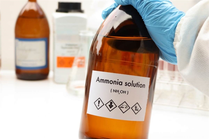 Eaba8f ammoniaca 02082025 www okmugello it