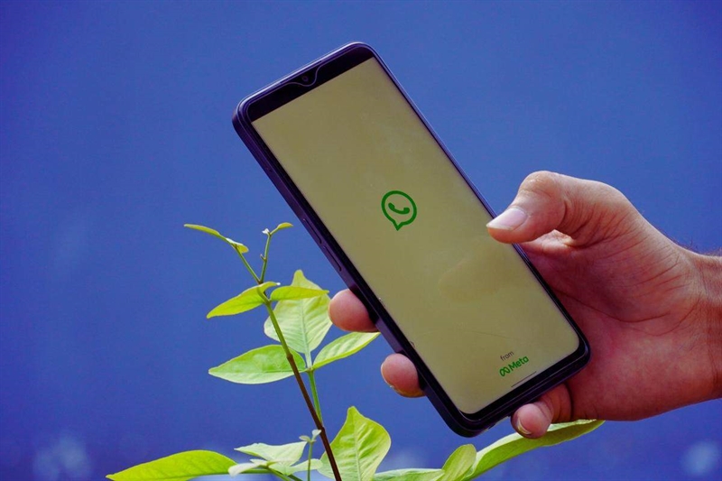 366721 whatsapp 04092025 okmugello it copia