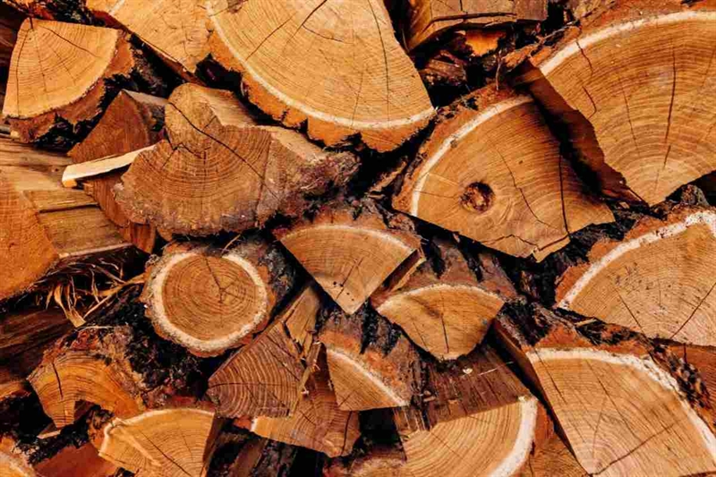 41442a legno 03092025 www okmugello it