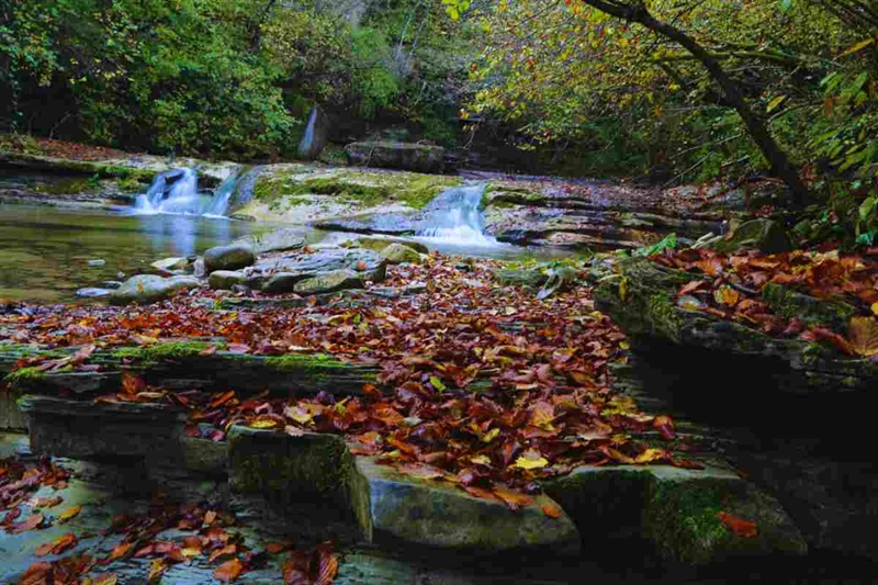 49b165 casentino 08092025 okmugello it