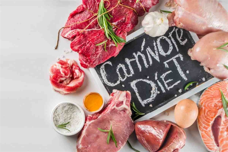 84ed66 dieta carnivora 040902025 www okmugello it