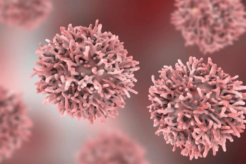 F8a314 cancro 09092025 www okmugello it