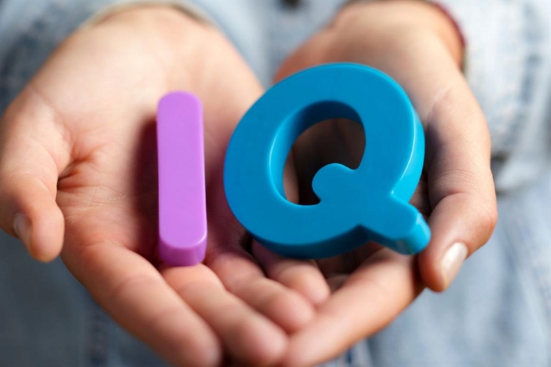 Fa0486 quoziante intellettivo 24092025 www okmugello it