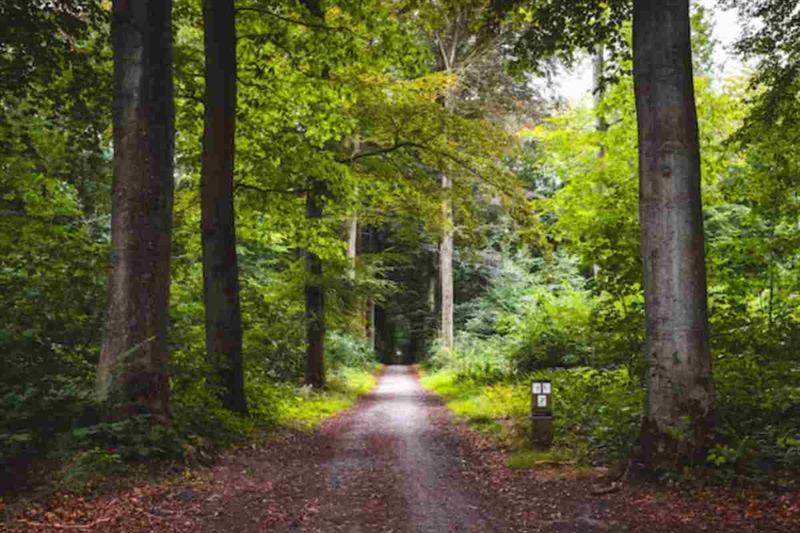 A8ce41 Benessere 18 10 25 okmugello it 1