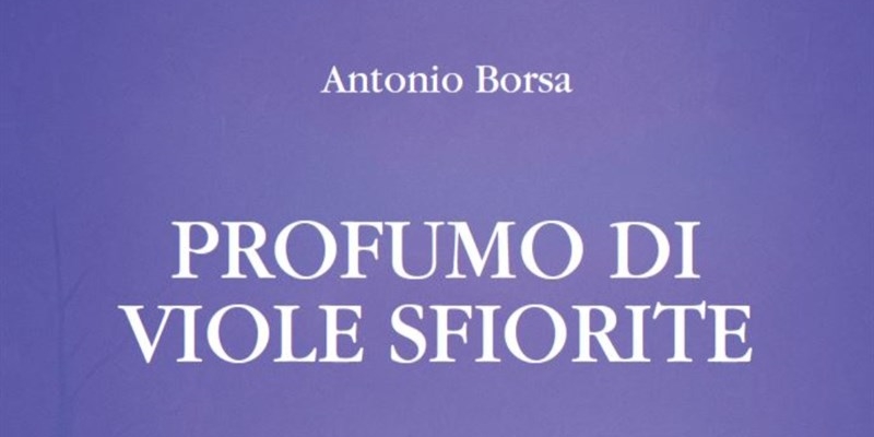Un taglio del libro