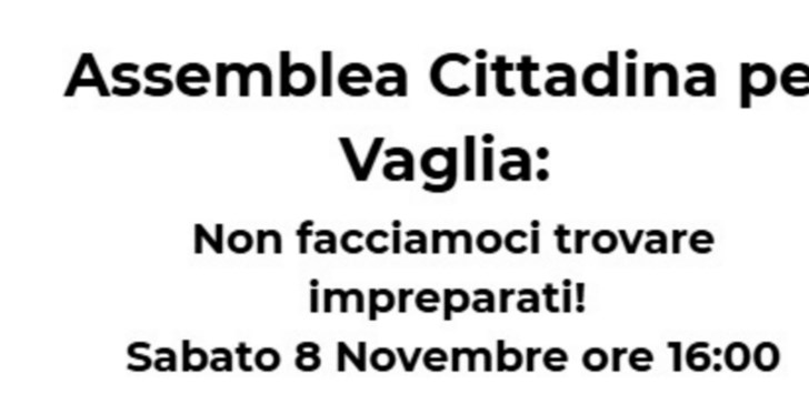 assemblea citttadina