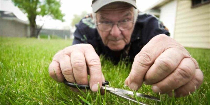 Tagliare l'erba in tardo periodo ferma le erbacce: data ben nota ai giardinieri - okmugello.it