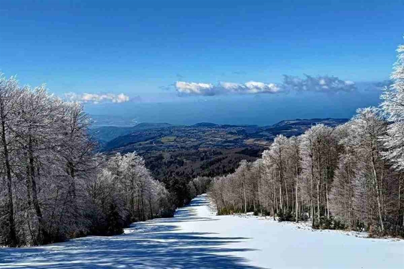 272a1c gambarie localit neve mare 18122025 okmugello it