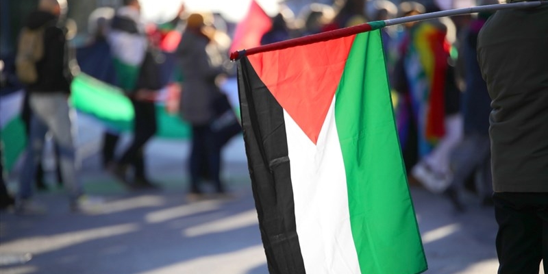 Una manifestazione Pro Pal