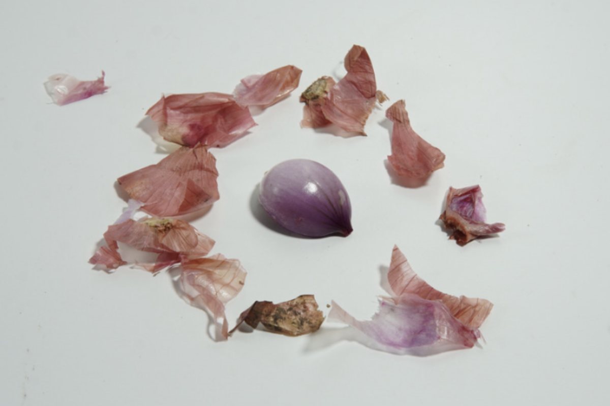 Cipolla come usarla per le pulizie