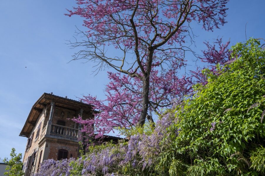 I Itinerario liberty