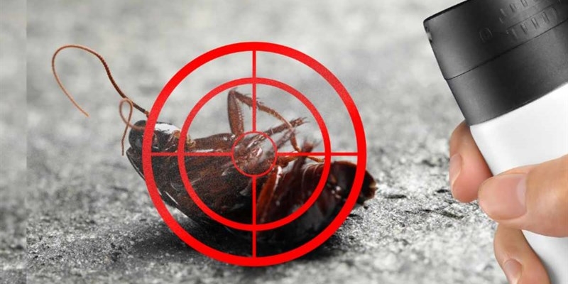 Come preparare un repellente casalingo per annientare gli scarafaggi: è formidabile - okmugello.it