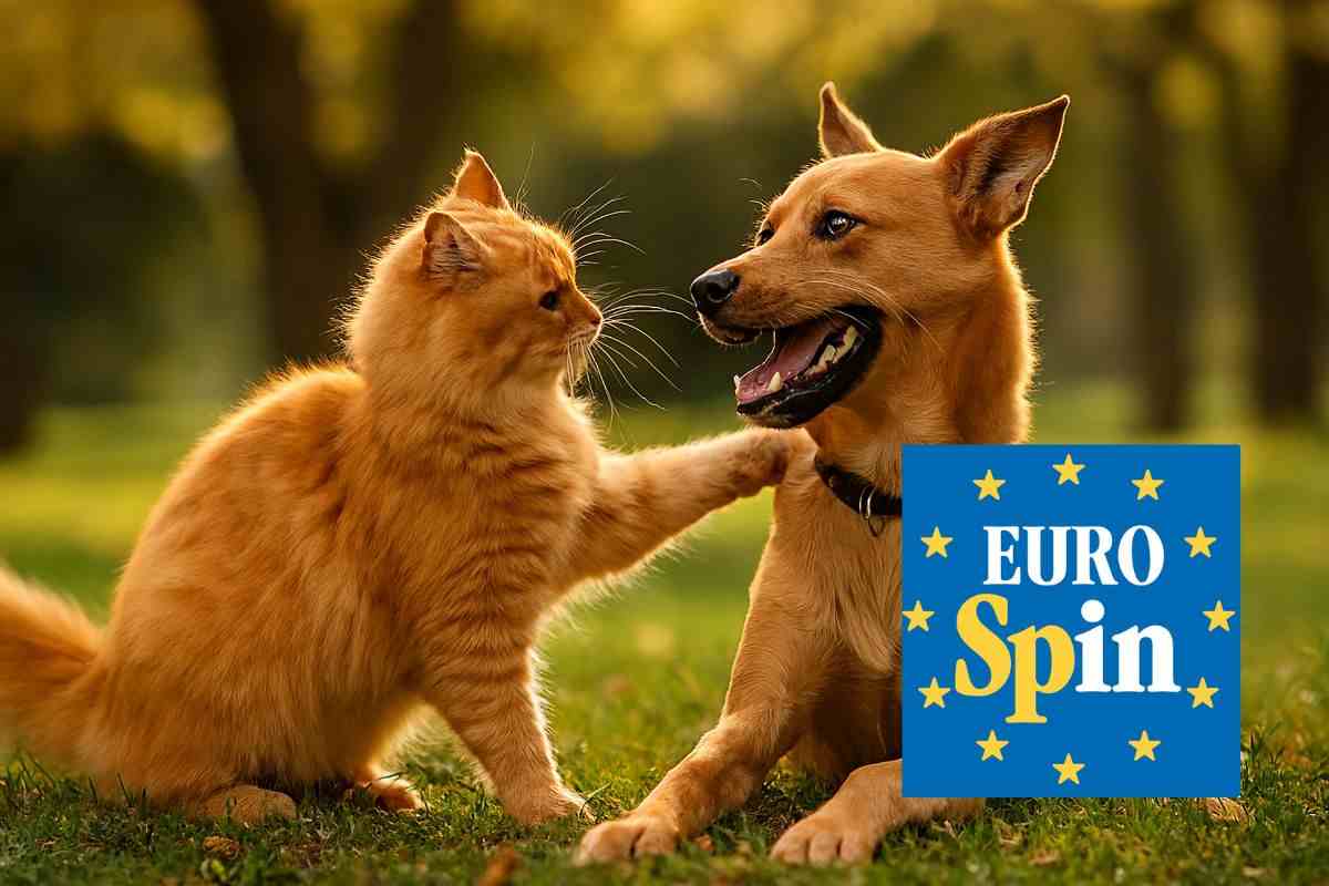 animali occorrente offerta eurospin