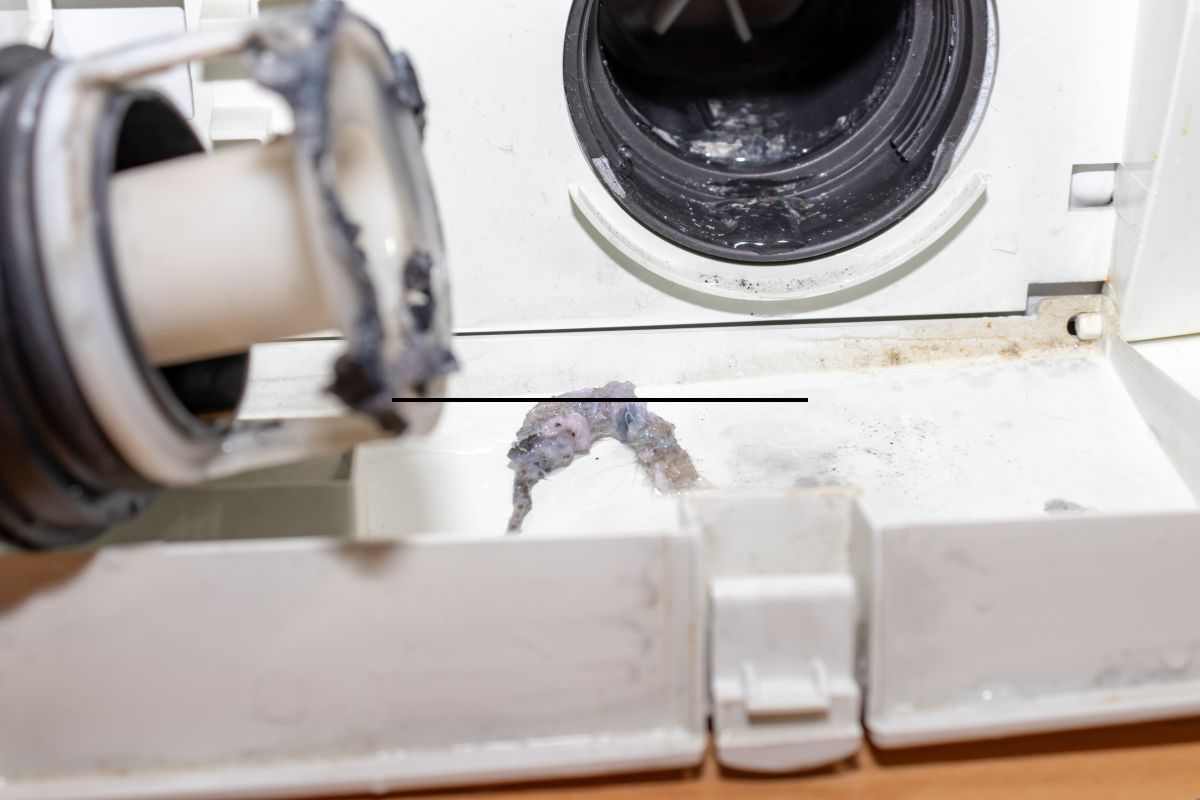 come fare la manutenzione della lavatrice