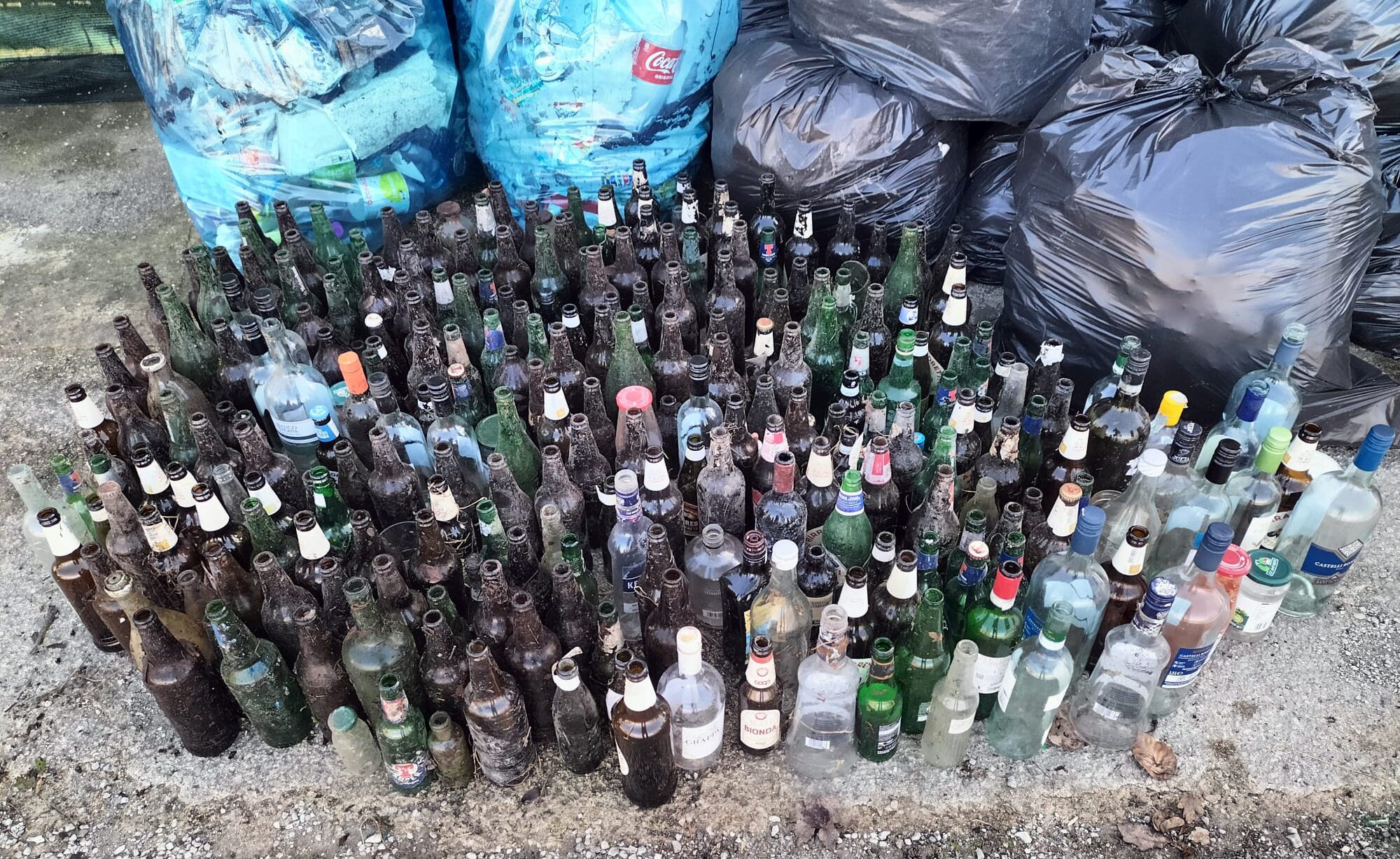 Puliamo Scarperia 23 02 2026 Bottiglie