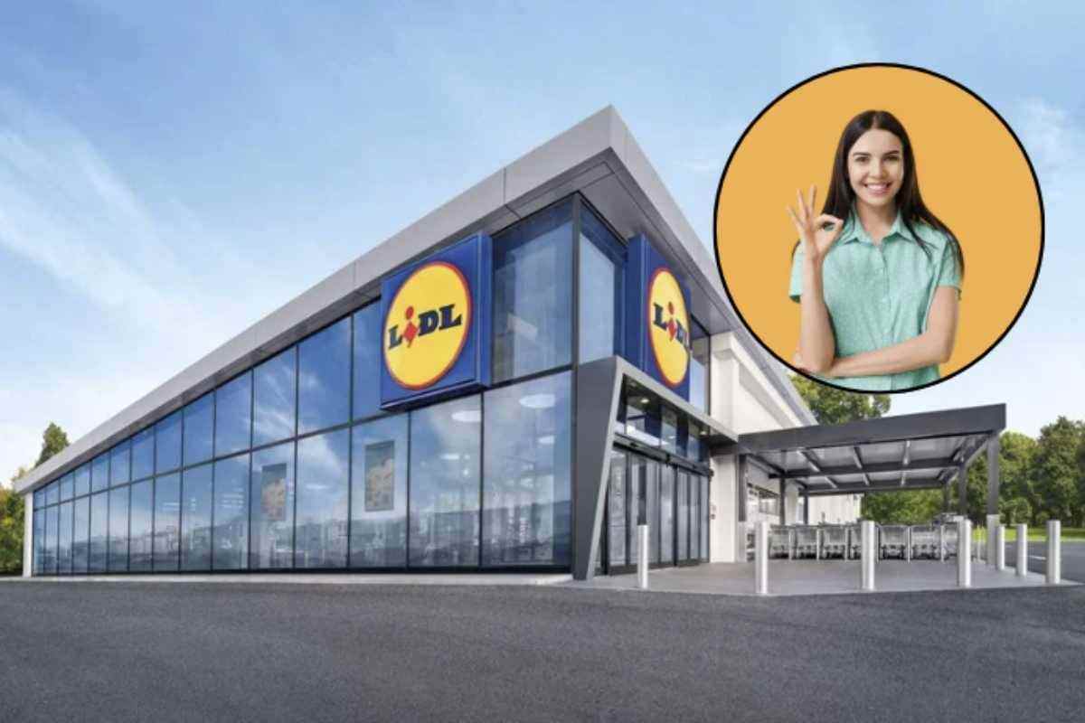 Lidl donna ok