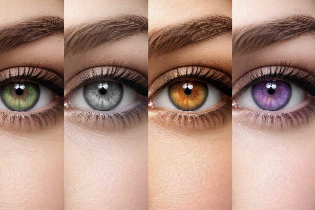 Non è solo una questione estetica: la scienza oggi spiega con sempre maggiore precisione perché alcune tonalità dominano il mondo