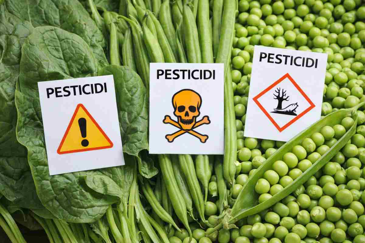 Pesticidi verdura Okmugello.it