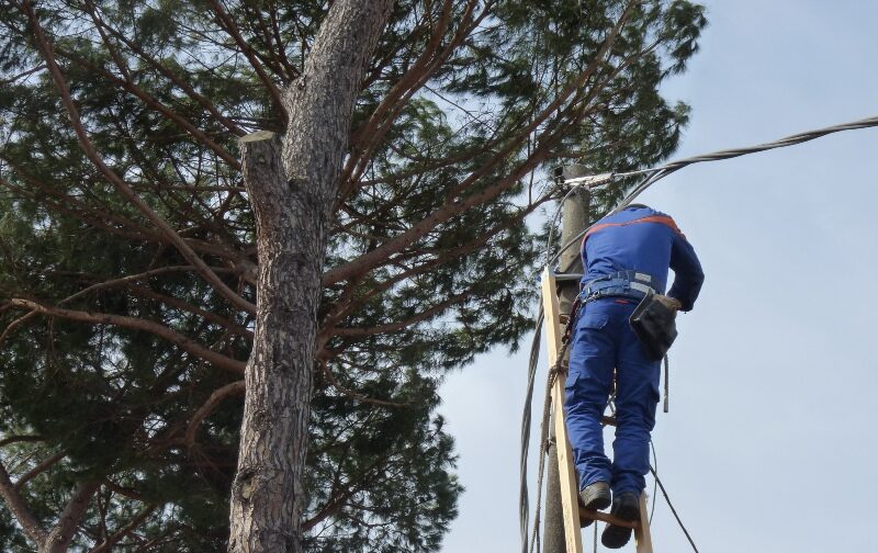 Interventi e distribuzione (ex enel)