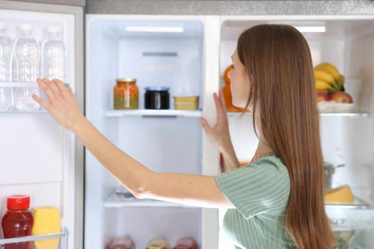 Come resettare il frigorifero che non funziona Ok!Mugello.it