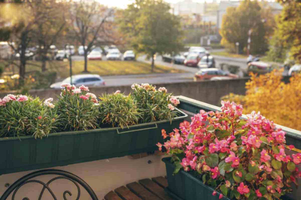 Meno scontate ma sempre più presenti, le lantane sono tra le piante che meglio sopportano il caldo intenso.