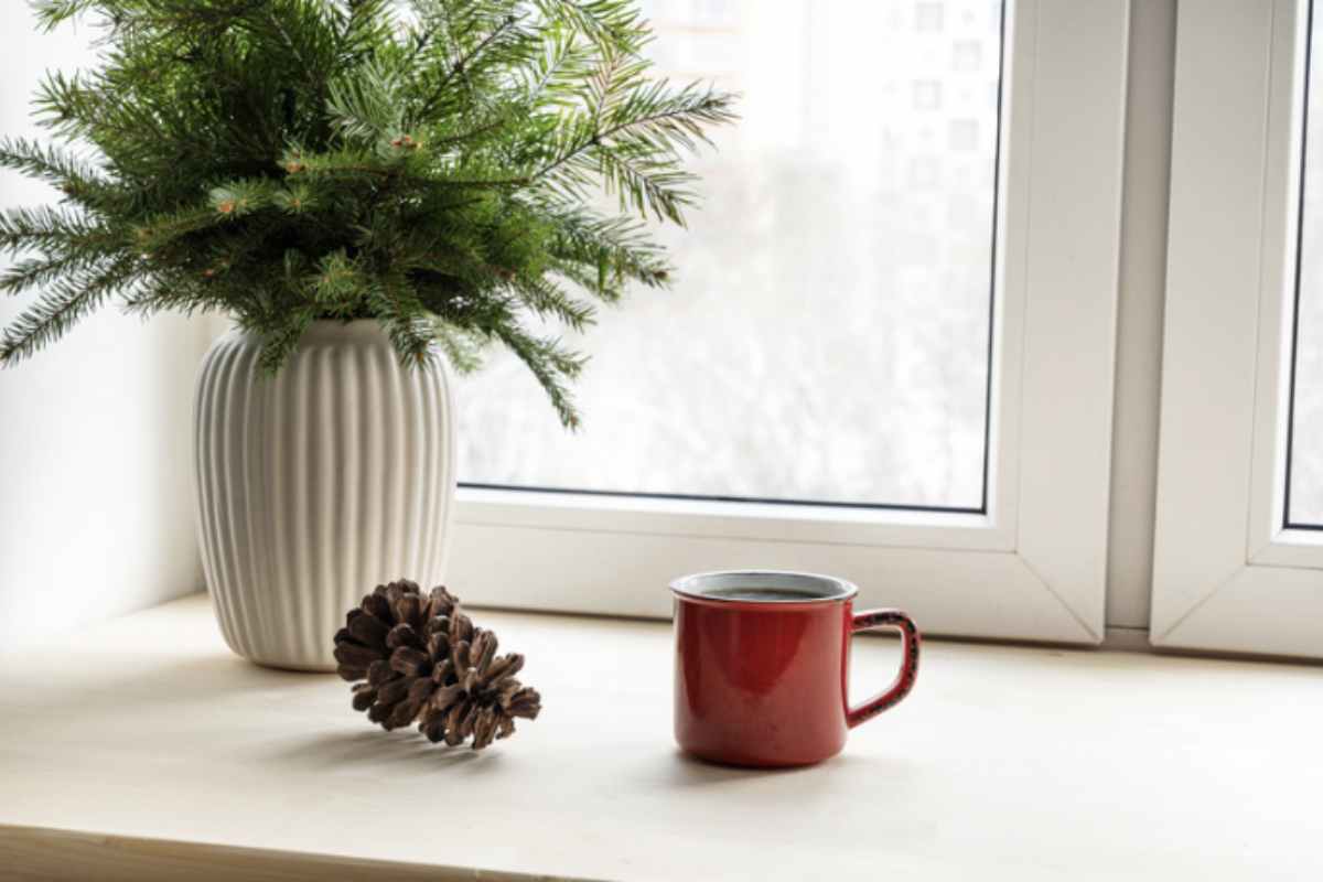 La pigna non fornisce numeri precisi come un igrometro, ma restituisce un segnale immediato.