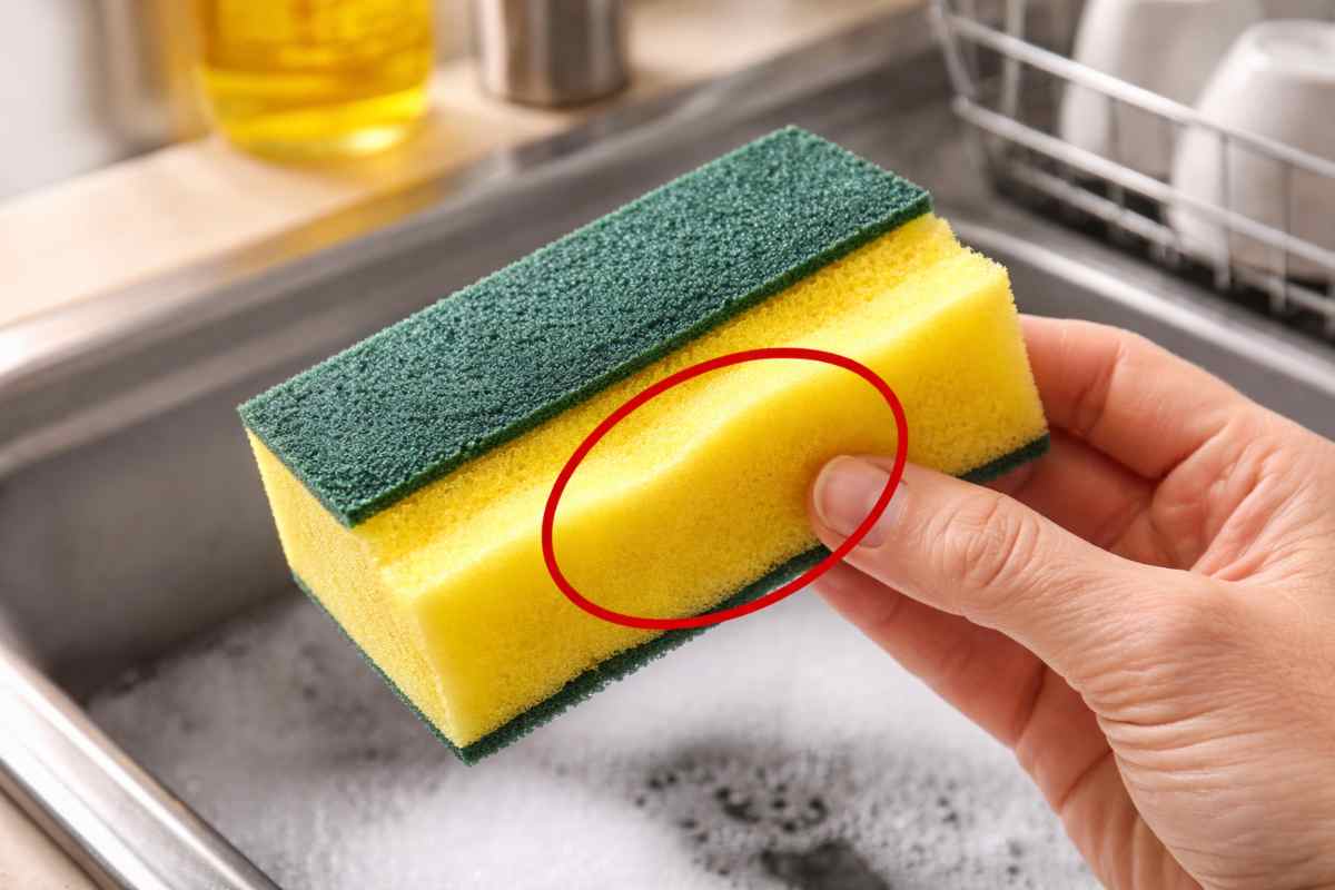 segreto spugna da cucina